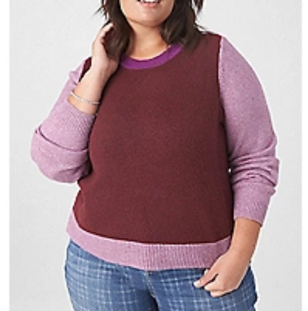 NWT Colorblock sweater
